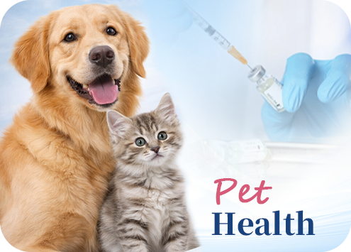 Pet health liquid medicine application for dogs and cats