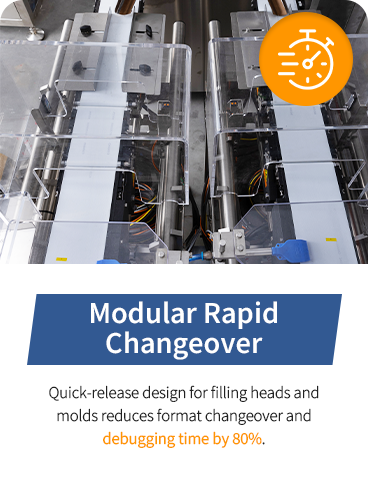 Quick-change tooling inside an automatic pet drops filling machine